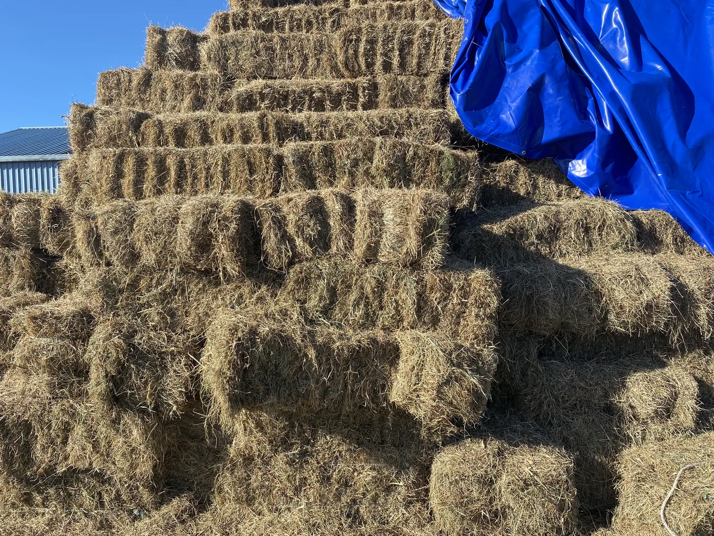 Hay Sales