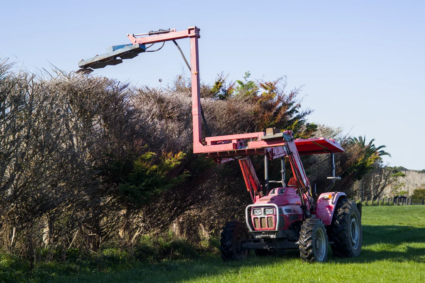 Hedge cutting